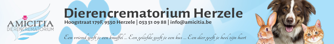 Reclamebanner 